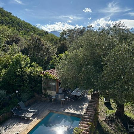 Céret Villa Bonheur Vallespir المظهر الخارجي الصورة