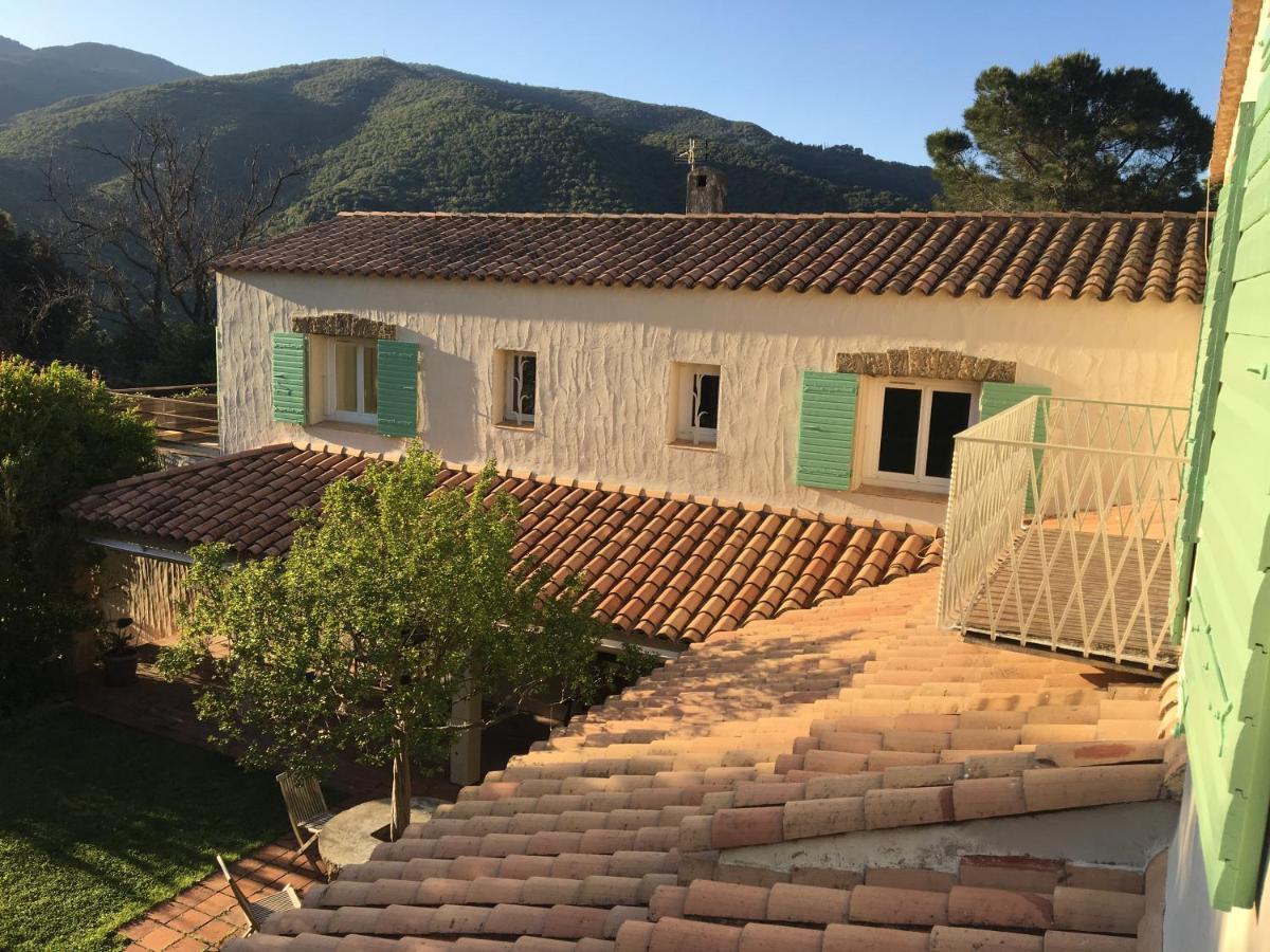 Céret Villa Bonheur Vallespir المظهر الخارجي الصورة