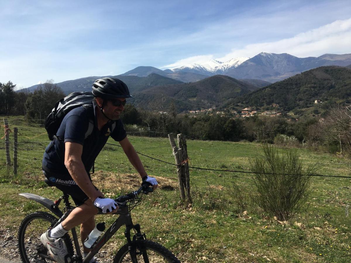 Céret Villa Bonheur Vallespir المظهر الخارجي الصورة