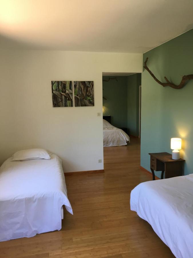Céret Villa Bonheur Vallespir المظهر الخارجي الصورة