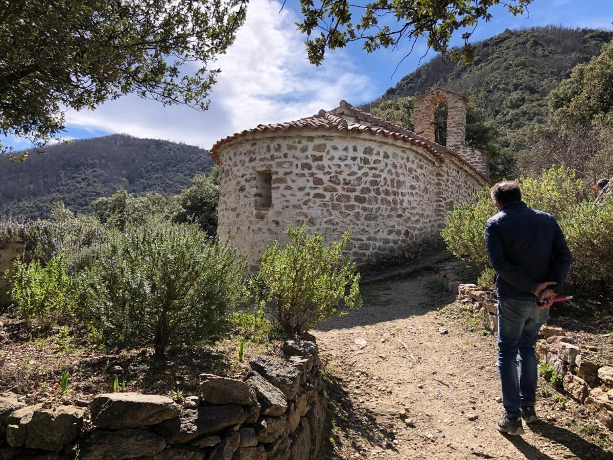 Céret Villa Bonheur Vallespir المظهر الخارجي الصورة
