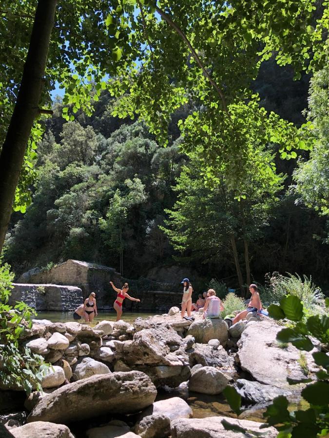 Céret Villa Bonheur Vallespir المظهر الخارجي الصورة
