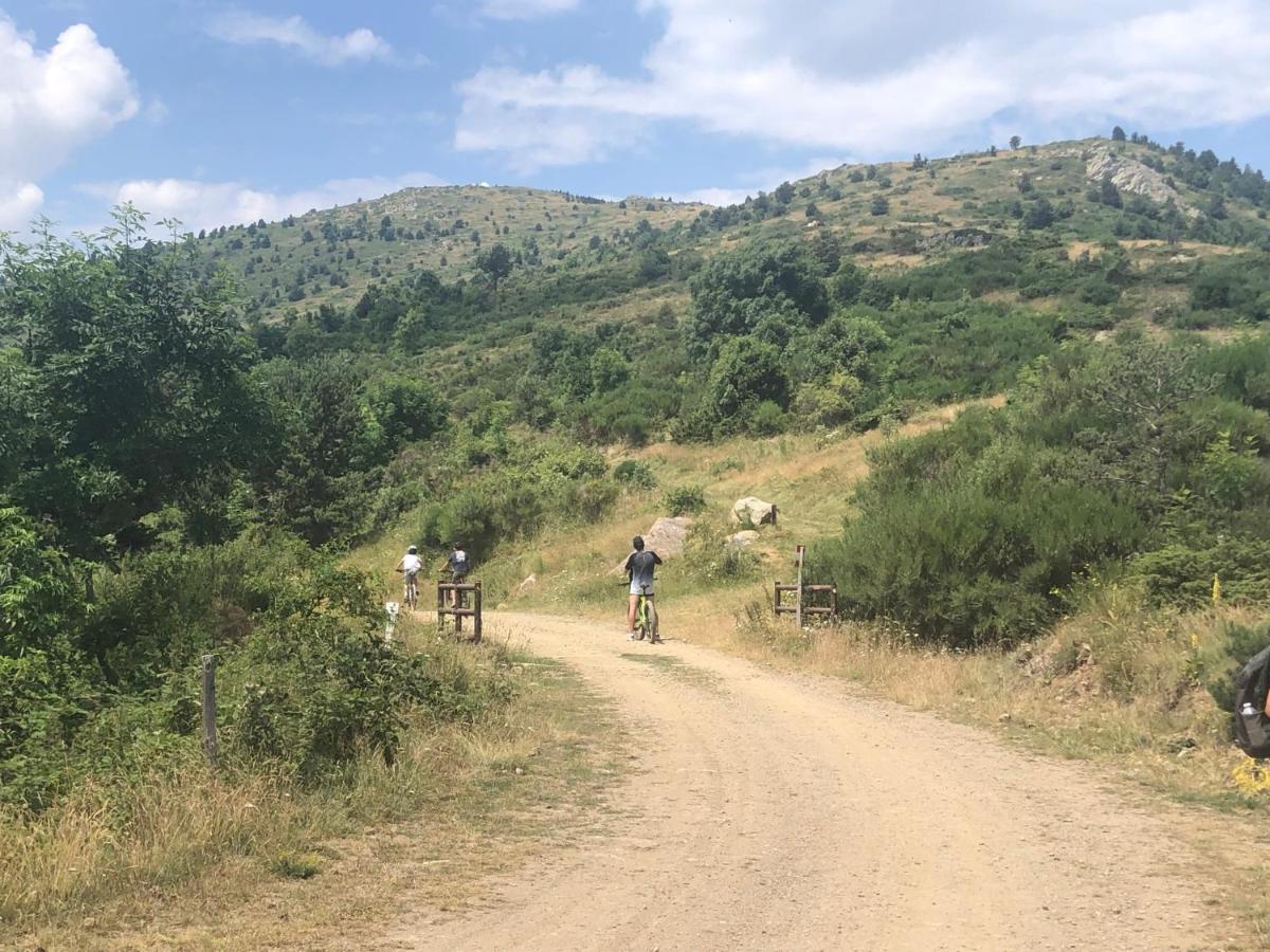 Céret Villa Bonheur Vallespir المظهر الخارجي الصورة