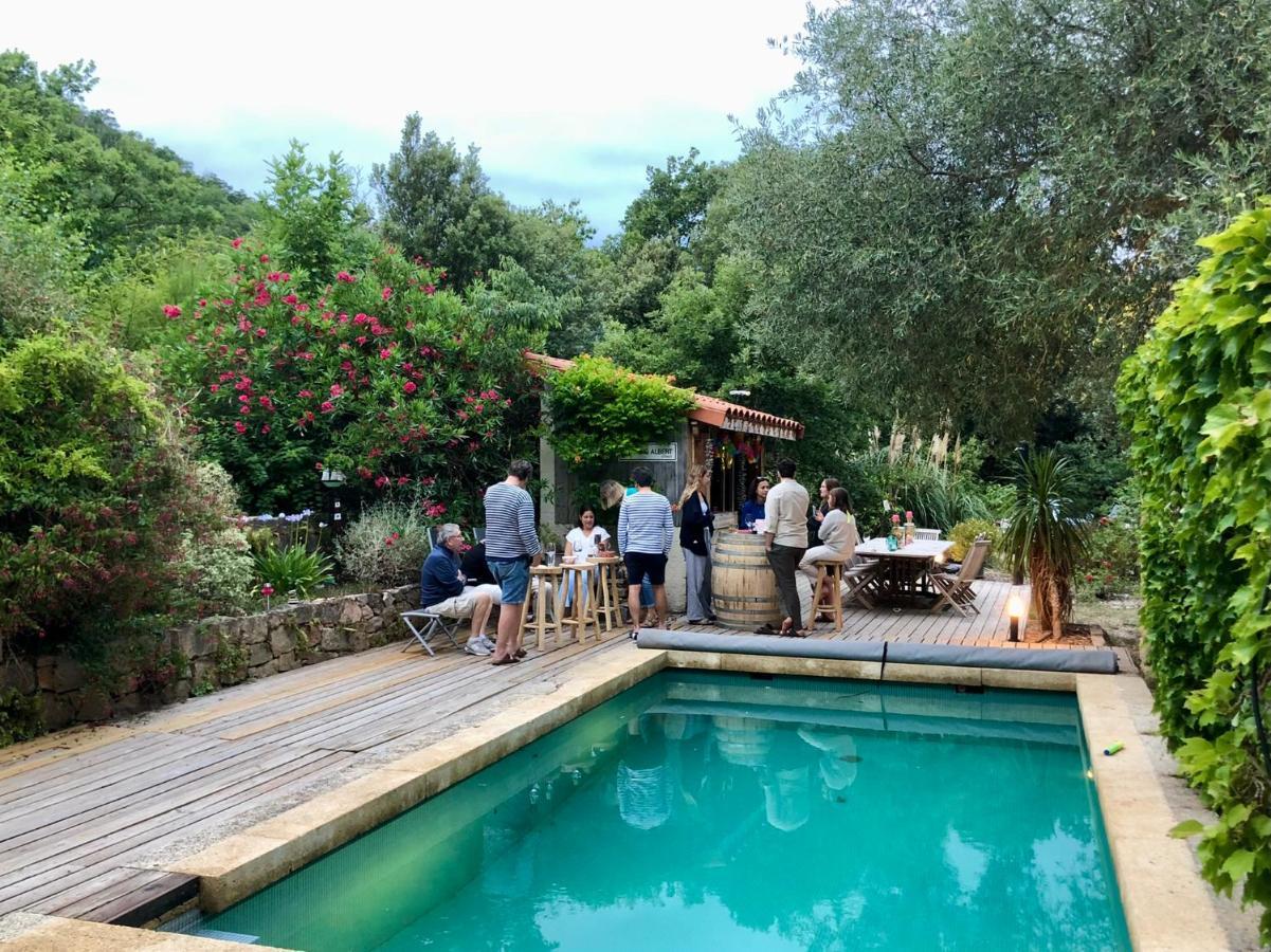 Céret Villa Bonheur Vallespir المظهر الخارجي الصورة