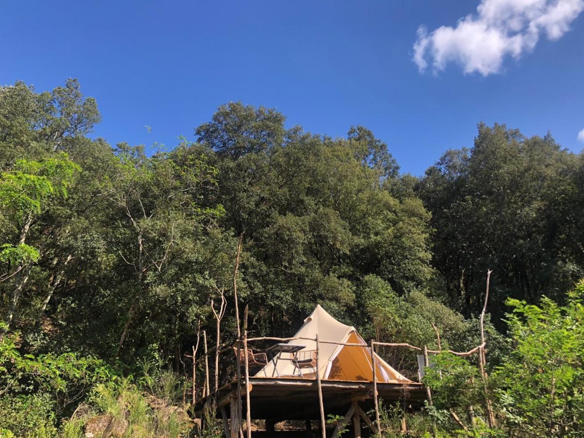 Céret Villa Bonheur Vallespir المظهر الخارجي الصورة