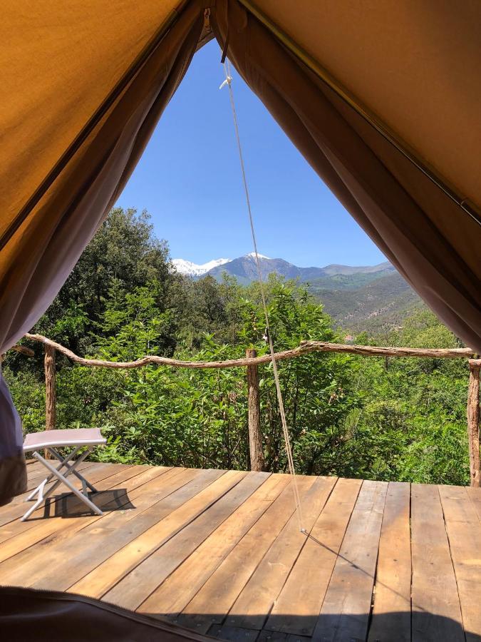 Céret Villa Bonheur Vallespir المظهر الخارجي الصورة