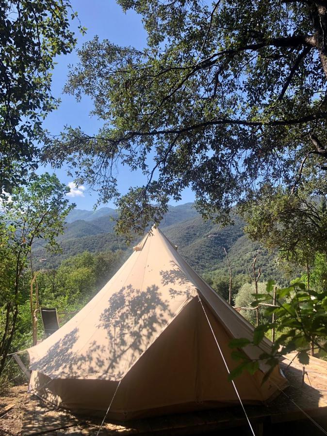 Céret Villa Bonheur Vallespir المظهر الخارجي الصورة