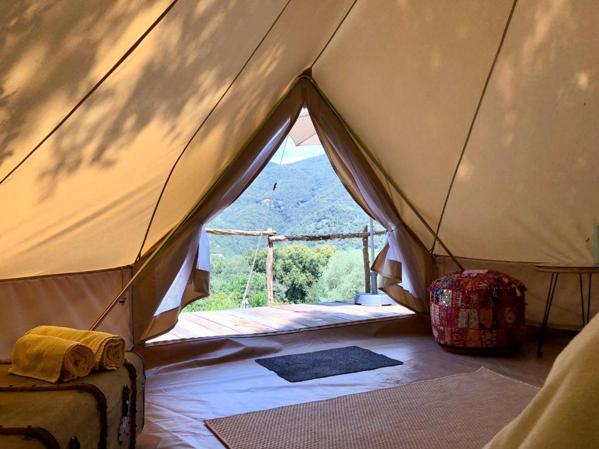 Céret Villa Bonheur Vallespir المظهر الخارجي الصورة