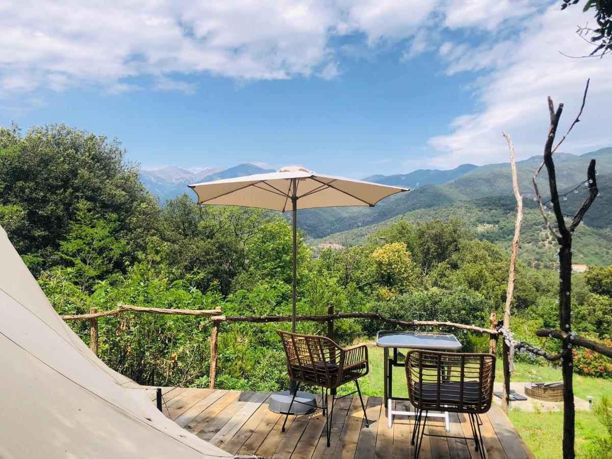 Céret Villa Bonheur Vallespir المظهر الخارجي الصورة