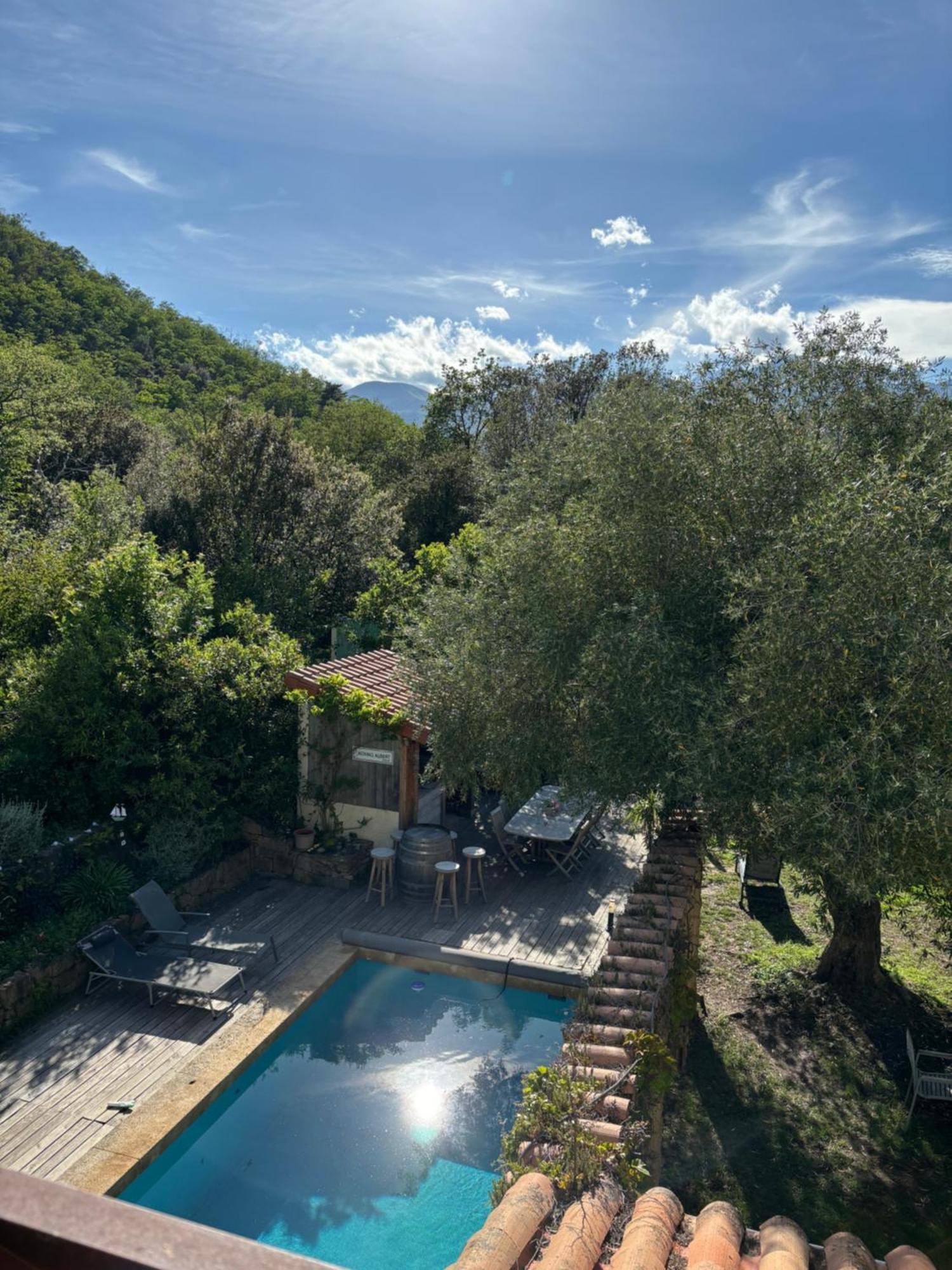 Céret Villa Bonheur Vallespir المظهر الخارجي الصورة