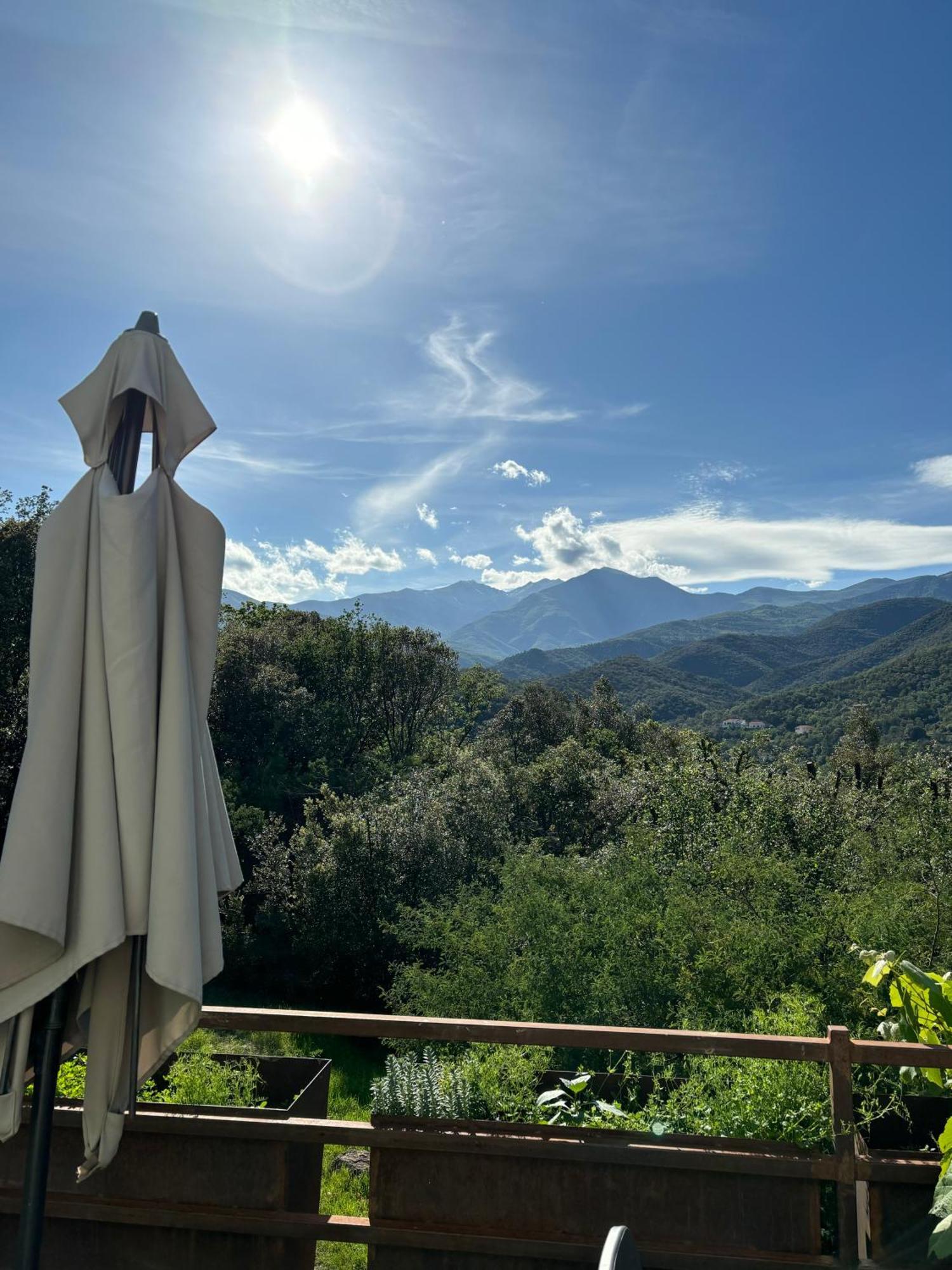 Céret Villa Bonheur Vallespir المظهر الخارجي الصورة